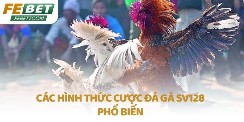 Các hình thức cược Đá gà SV128 phổ biến