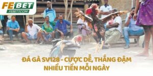 Đá gà SV128 - Cược dễ, thắng đậm nhiều tiền mỗi ngày