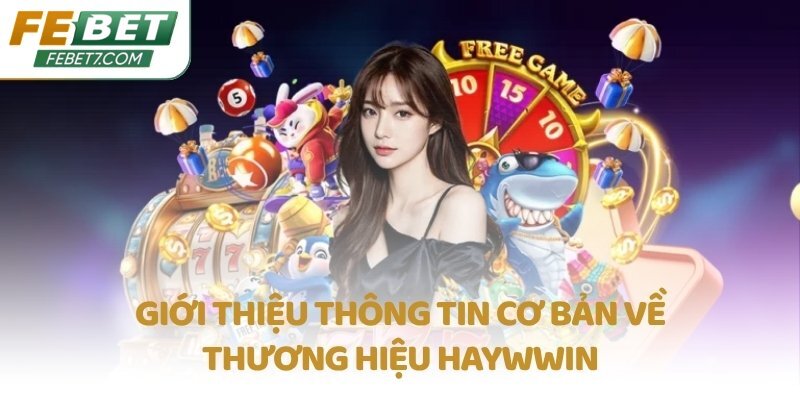Giới thiệu thông tin cơ bản về thương hiệu Haywwin