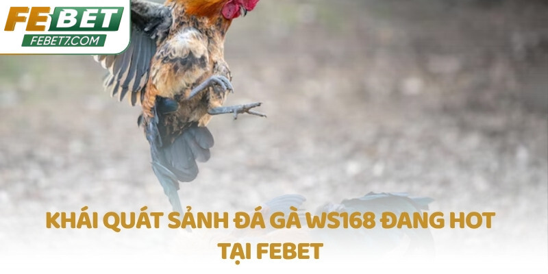 Khái quát sảnh Đá Gà WS168 đang hot tại FEBET