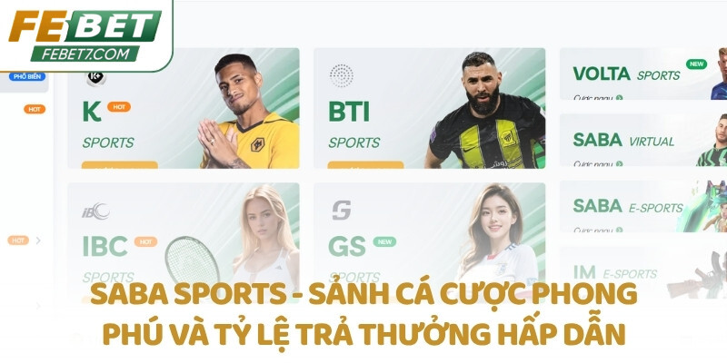 SABA Sports - Sảnh cá cược phong phú và tỷ lệ trả thưởng hấp dẫn