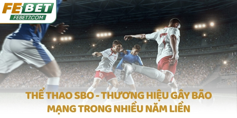 Thể thao SBO - Thương hiệu gây bão mạng trong nhiều năm liền