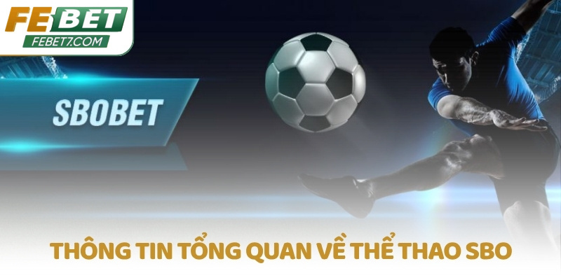 Thông tin tổng quan về Thể thao SBO