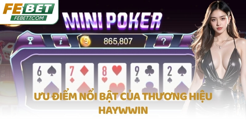 Ưu điểm nổi bật của thương hiệu Haywwin