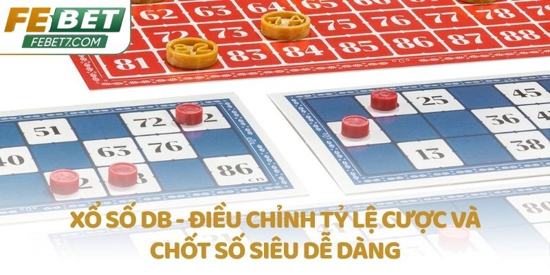 Xổ số DB - Điều chỉnh tỷ lệ cược và chốt số siêu dễ dàng