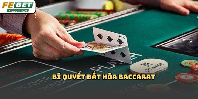Bí quyết bắt hòa baccarat Febet: Cách chơi siêu dễ 2026