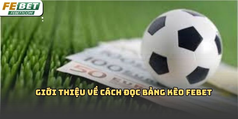 Cách đọc bảng kèo Febet: Hiểu đúng tỷ lệ đặt cược chính xác