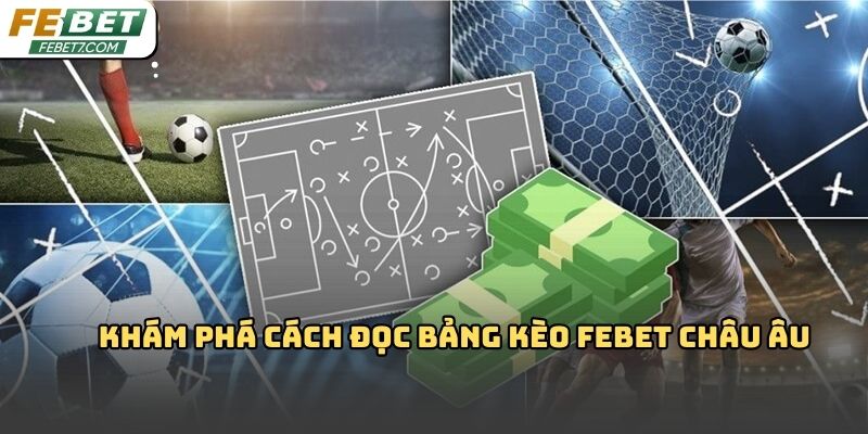 Cách đọc bảng kèo Febet: Hiểu đúng tỷ lệ đặt cược chính xác