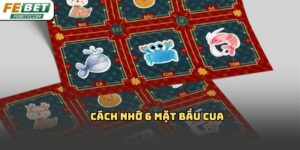 Cách nhớ 6 mặt bầu cua Febet dễ hiểu, dễ áp dụng 2026