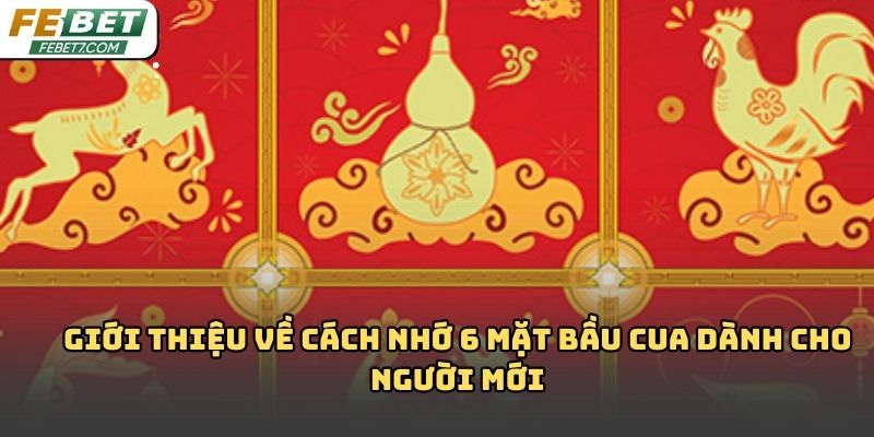 Cách nhớ 6 mặt bầu cua Febet dễ hiểu, dễ áp dụng 2026