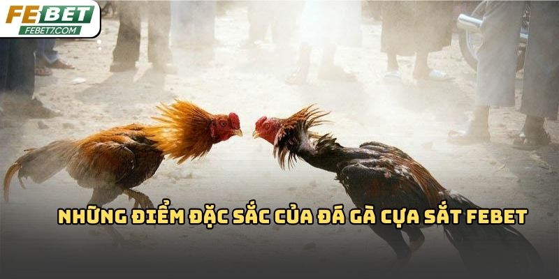 Đá gà cựa sắt Febet – Hình thức giải trí kịch tính 2026