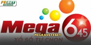 Mega 645 Febet: Tổng quan chi tiết cho người mới