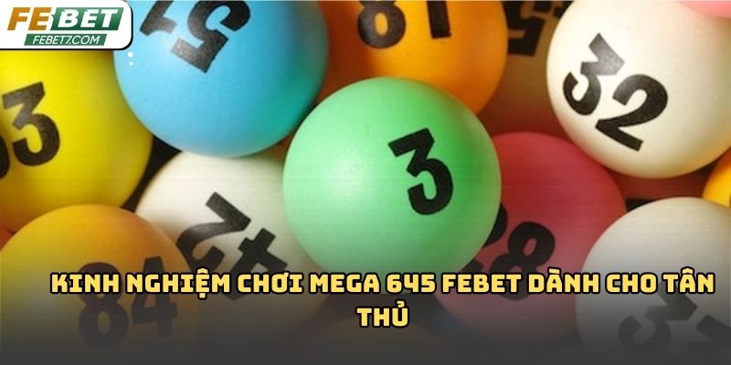 Mega 645 Febet: Tổng quan chi tiết cho người mới