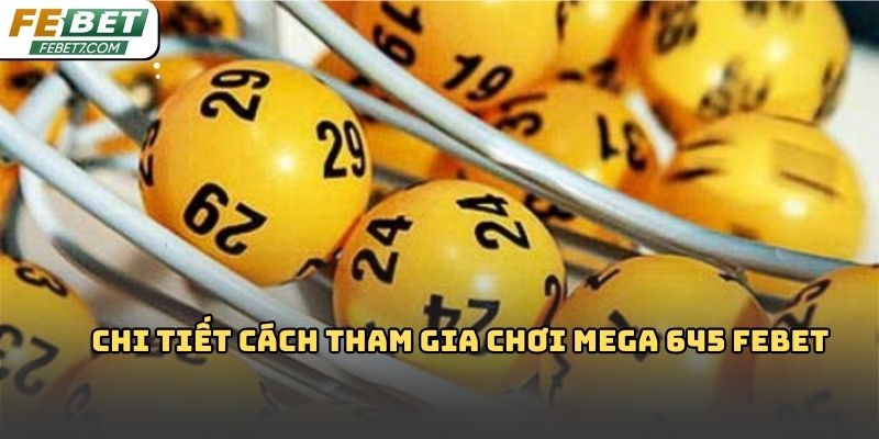 Mega 645 Febet: Tổng quan chi tiết cho người mới
