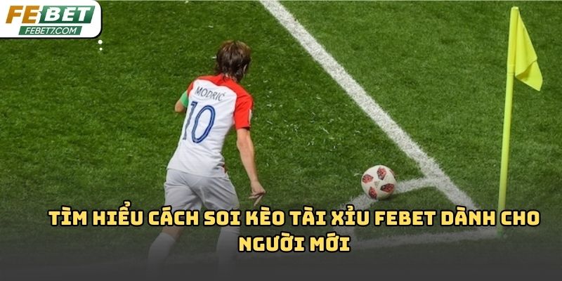 Cách soi kèo tài xỉu Febet chuẩn xác và dễ áp dụng nhất